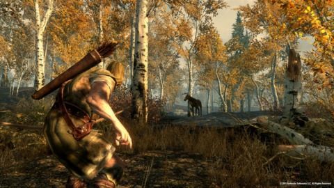 1712436-skyrim8.jpg
