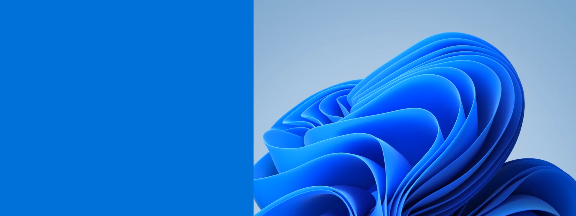 Windows 11 bloom