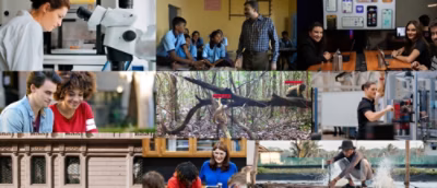 A collage featuring people, children, a man in a blue shirt, a person in a white shirt, a close-up of a plane, and a white and black device.