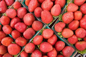 strawberry