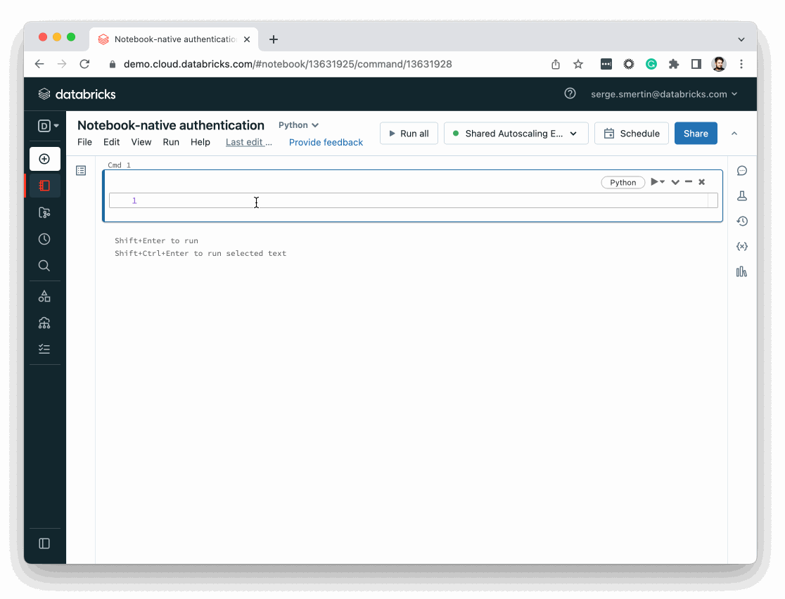 notebook-native authentication