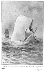 כריכה של הספר Moby Dick