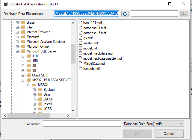 Select the database location and select the .mdf file