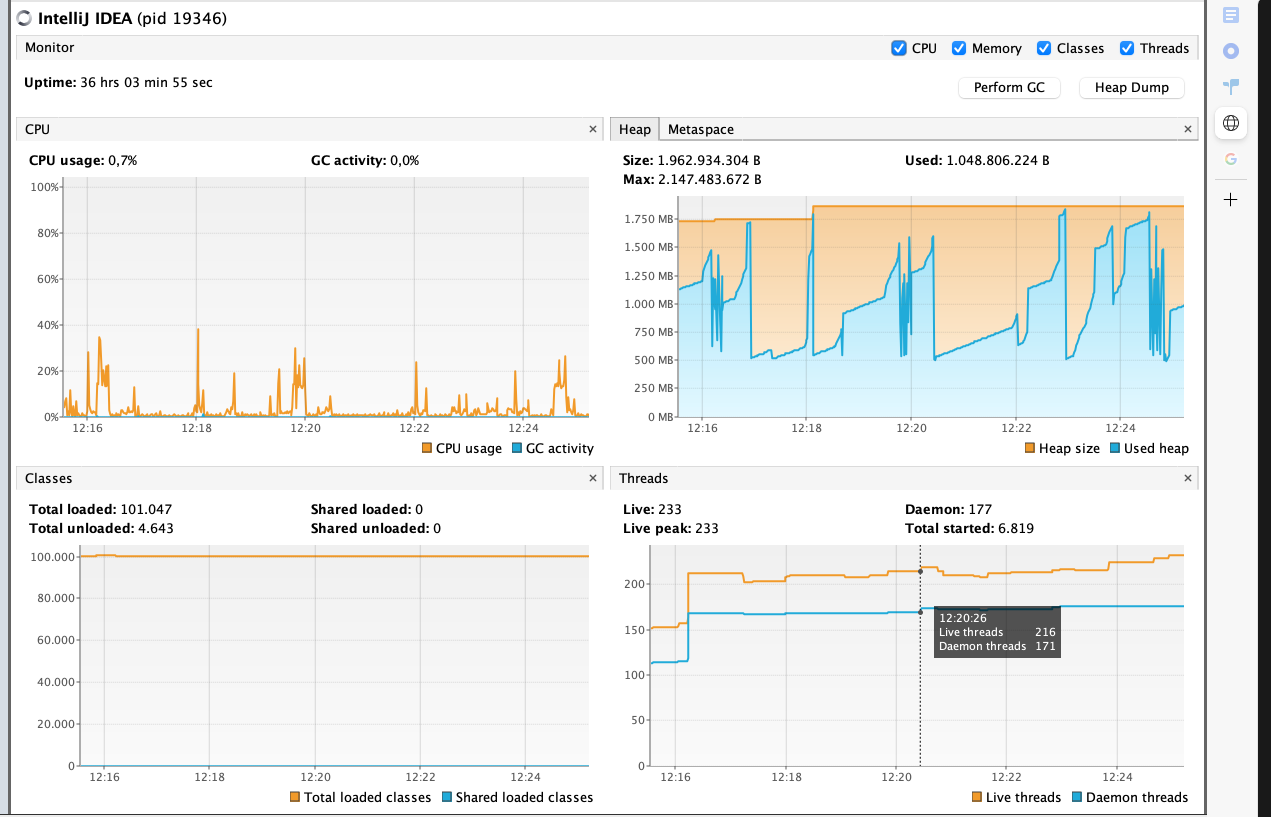 Java Visual VM