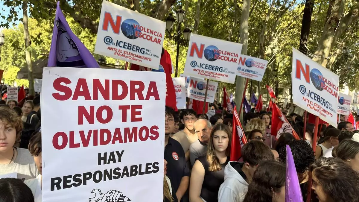 La Fiscalía de Sevilla imputa dos delitos a dos menores por acosar a Sandra Peña