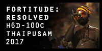 video-badge-fortitude resolved 2