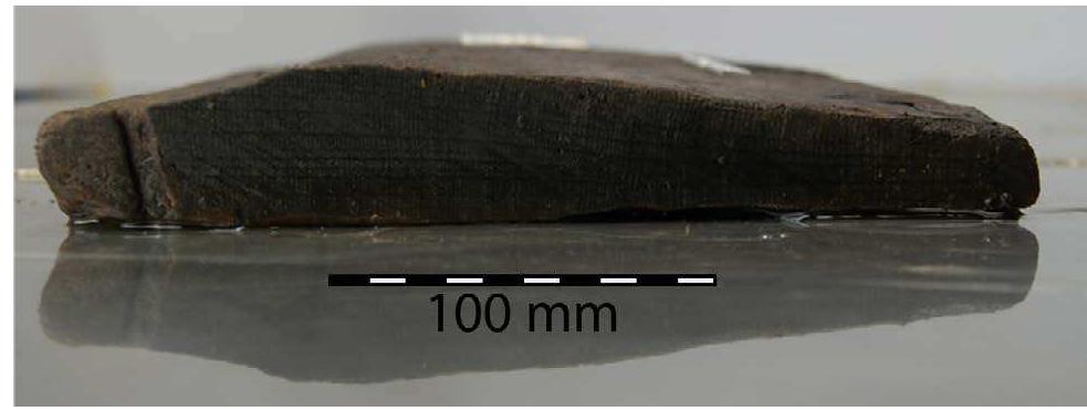 Fig. 5.9: Cross section of plank 82-119.