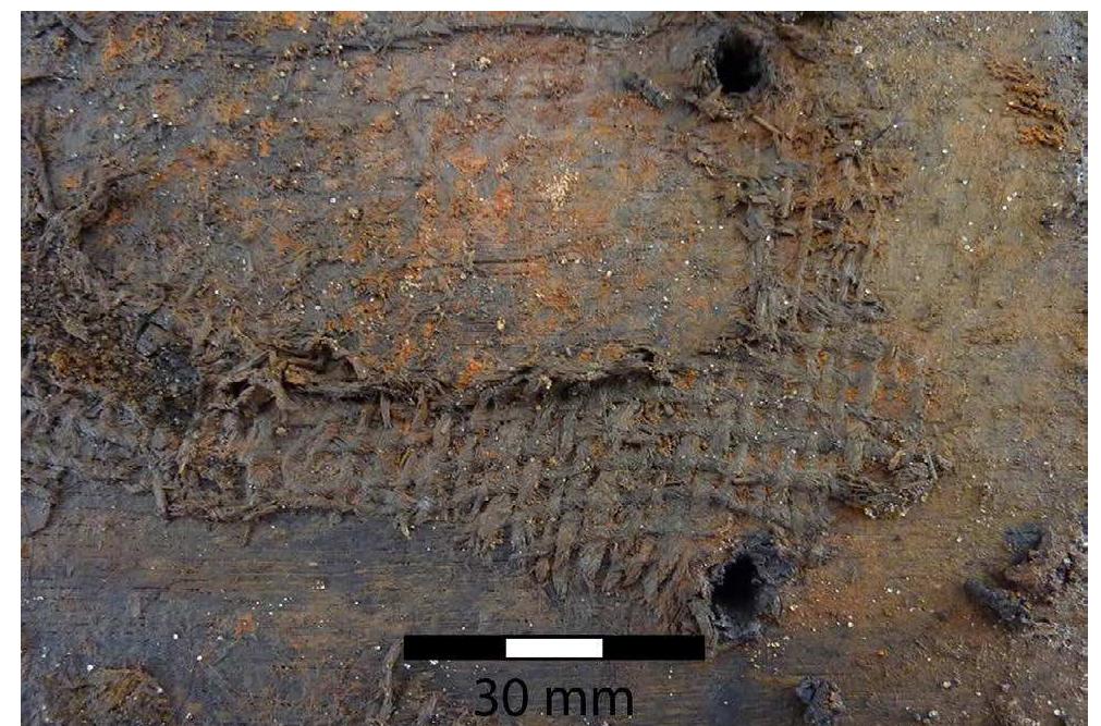 Fig. 5.33: Textile used as caulking on the scarf betweer planks 101 and 11 (Landesamt ftir Kultur und Denkmal- pflege, Schwerin, 2010). resents a repair of the hull (see above) it is not surprising that it had been caulked with a mate- rial differing from that of the rest of the vessel. The fragmentary remains of the textile were pre- served on the scarf table of the adjacent plank 11. Unfortunately the textile was not conserved after the excavation. It is documented with a few pho- tos (fig. 5.33). The textile is a ‘two-shaft’ or plain tabby. This means that the weave is going under and over one warp-thread at the time (Andersen, 1995:253). Both warp and weave are z-spun, there are four threads per cm in the warp and three threads per cm in the weave. The textile can be characterised as coarse and loosely woven. 1995:253). Both warp and weave are z-spun, there A significant amount of tar, which was used as wood preserver and waterproofing agent was pre- served on the wreck, both on the surfaces of tim- bers and especially within the caulking material. A large number of samples composed of caulking material and tar were sampled during the record- ing of the wreck. Twenty of these samples have been analysed by The British Museum as part of the project: Ancient Maritime Pitch and Tar: a multi-disciplinary study of sources, technology and preservation (Burger, 2012). Gas chromatog- raphy-mass spectrometry (GC-MS) was used to determine the composition of the tar. All samples were identified as pure conifer tars, originating from the early stages of firing of resin or wood, at
