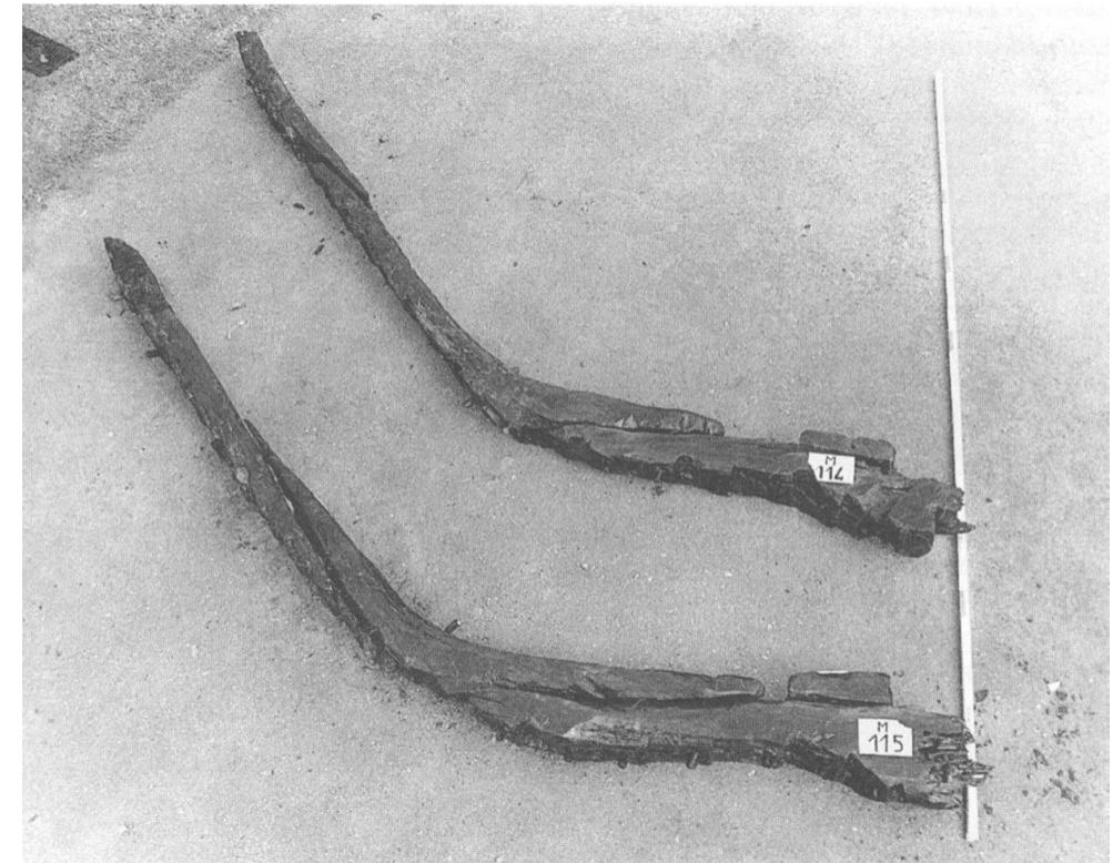 Fig. 56: Frame stations M114 and M115. Note the first side timber fastened on top of the second side timber in F115 (LHour and Veyrat, 1989:291).