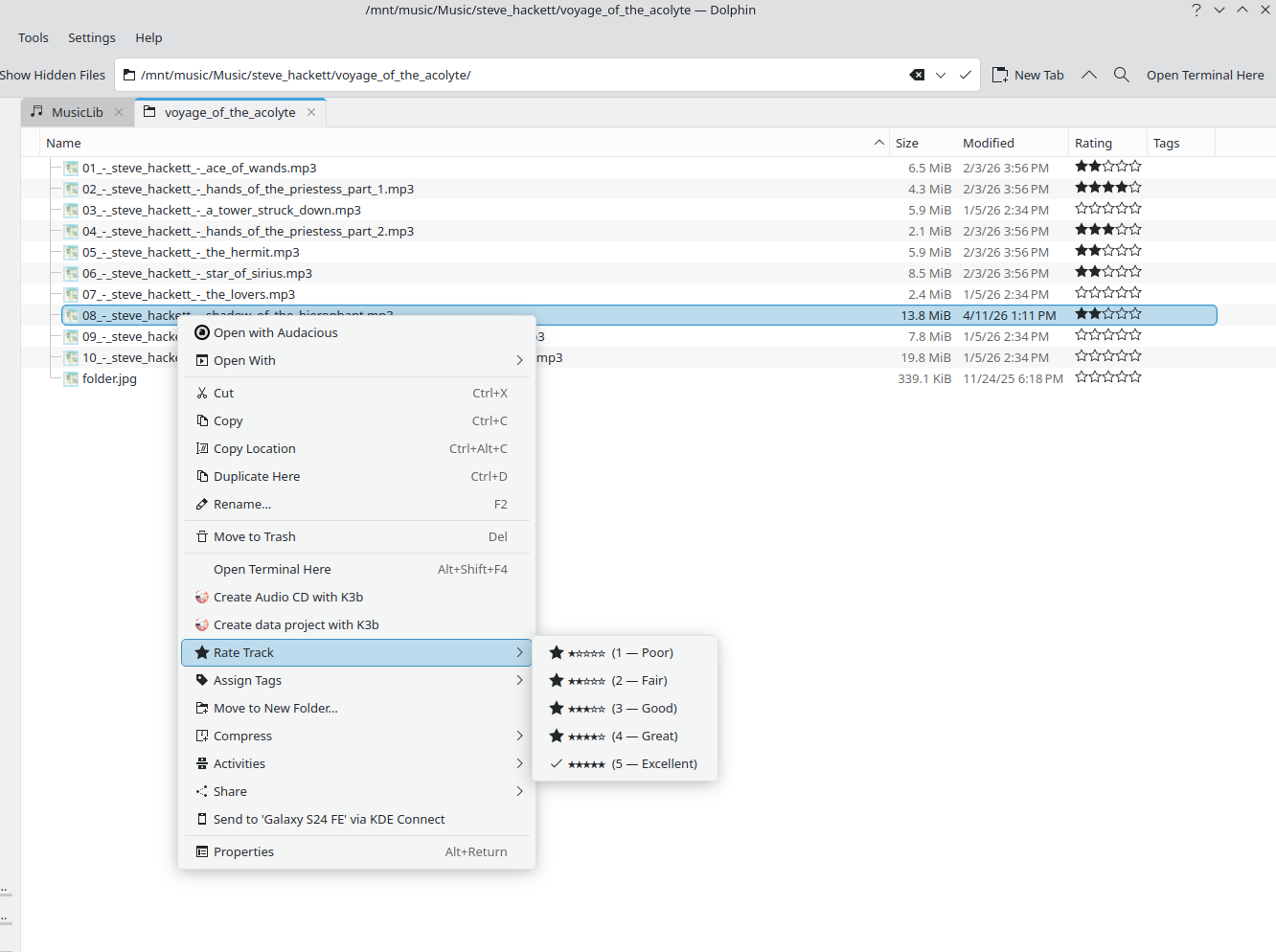 MusicLib tag screenshot