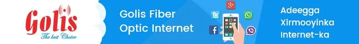 Golis-Telecom