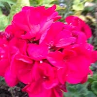 Profile Image for Debbie W..