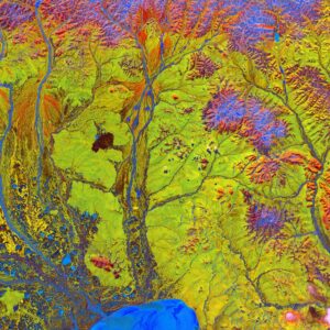 Ecosystem Mapping