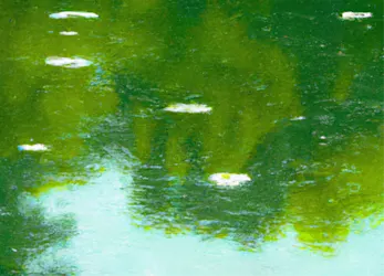 Painterly image resembling water lilies on a pond