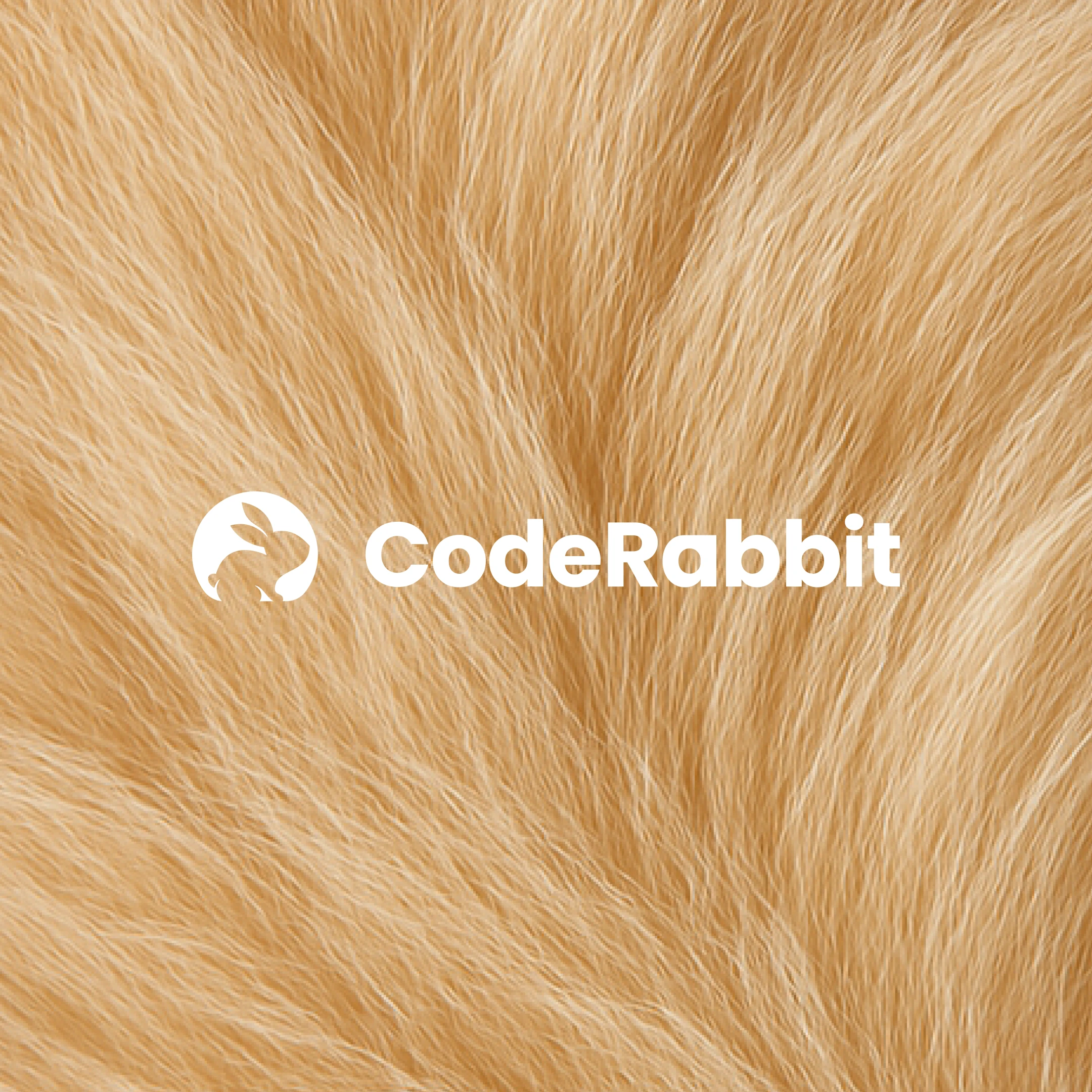 Coderabbit cover image
