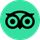 TripAdvisor icon