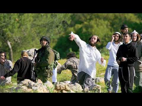 Weekly Report of the OIC Media Observatory on Israeli Crimes against the Palestinians
