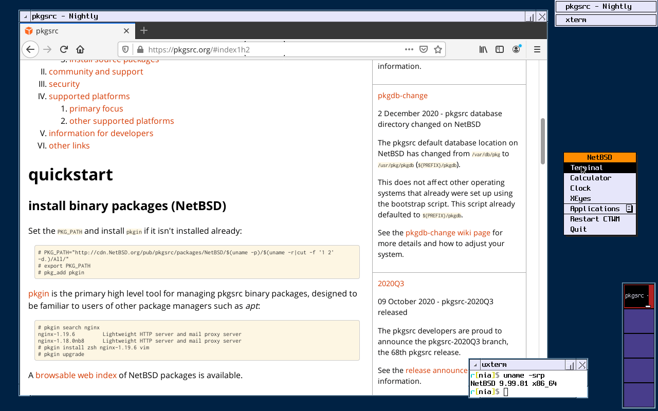 a screenshot of netbsd running on x11