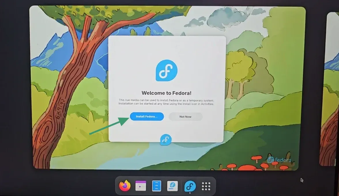 Fedora live session