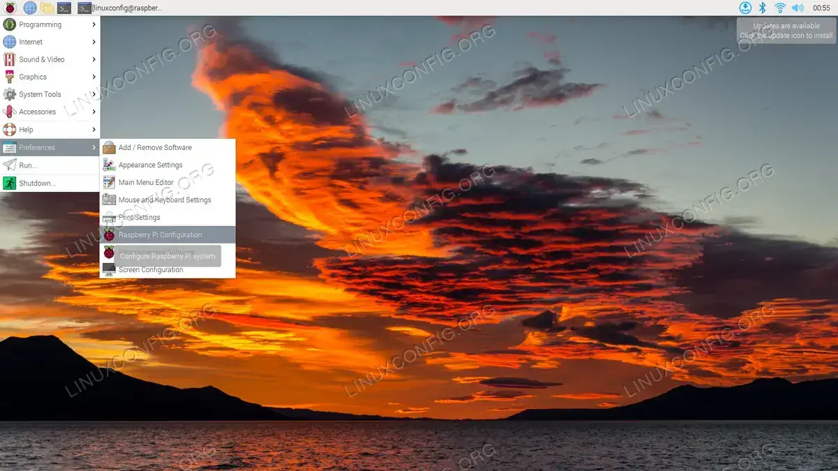 Access Raspberry Pi configuration to turn the camera on