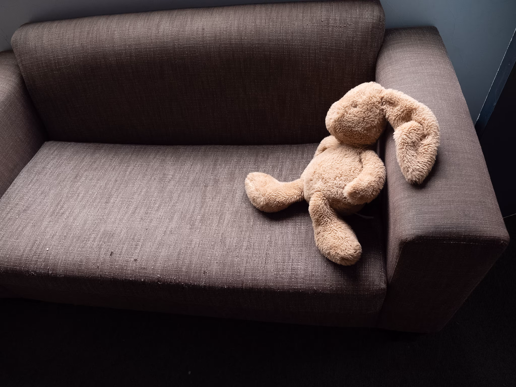 A stuffed rabbit sits on a couch