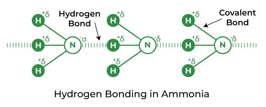 Hydrogen Bonding in Ammonia