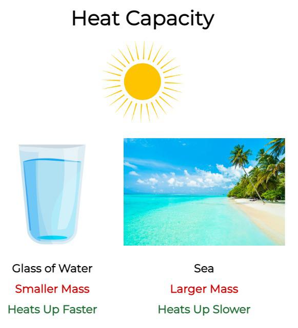 Heat Capacity