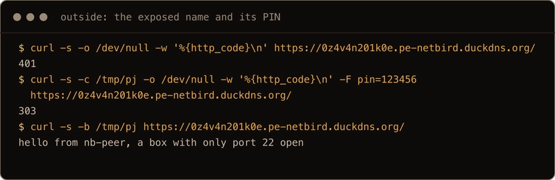 from outside, the random name gives 401 without the PIN, 303 with PIN 123456, and then the page