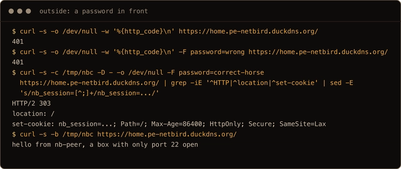 from outside, no password gets 401, a wrong password 401, the right one a 303 to / with an nb_session cookie that lasts 86400 seconds, and with the cookie the page loads