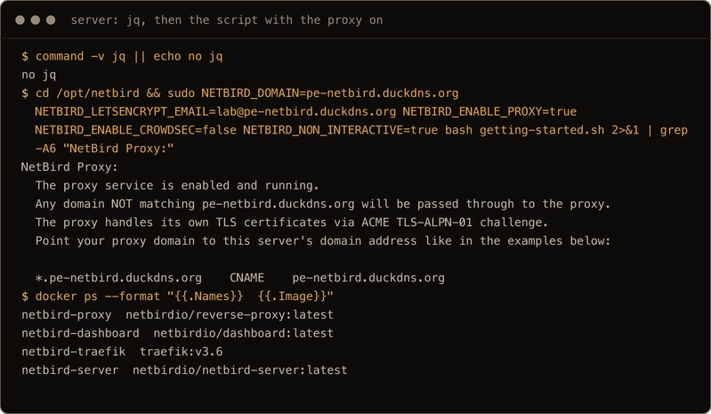 on the server, jq is not installed, the getting started script run with the proxy enabled prints the NetBird Proxy block with the wildcard CNAME line, and docker ps lists netbird-proxy, netbird-dashboard, netbird-traefik and netbird-server
