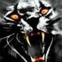 kavashgar profile