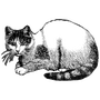 aiio_6471 profile