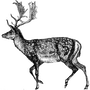 aldencross6847 profile