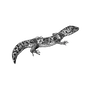 ignatiuscole6932 profile