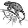 adalbertcross4085 profile
