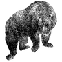 umerprodeve profile