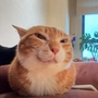 devak profile