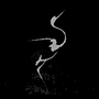davidwebb915 profile