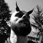 nikolay_chernev_a67479931 profile