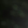 revanzart profile