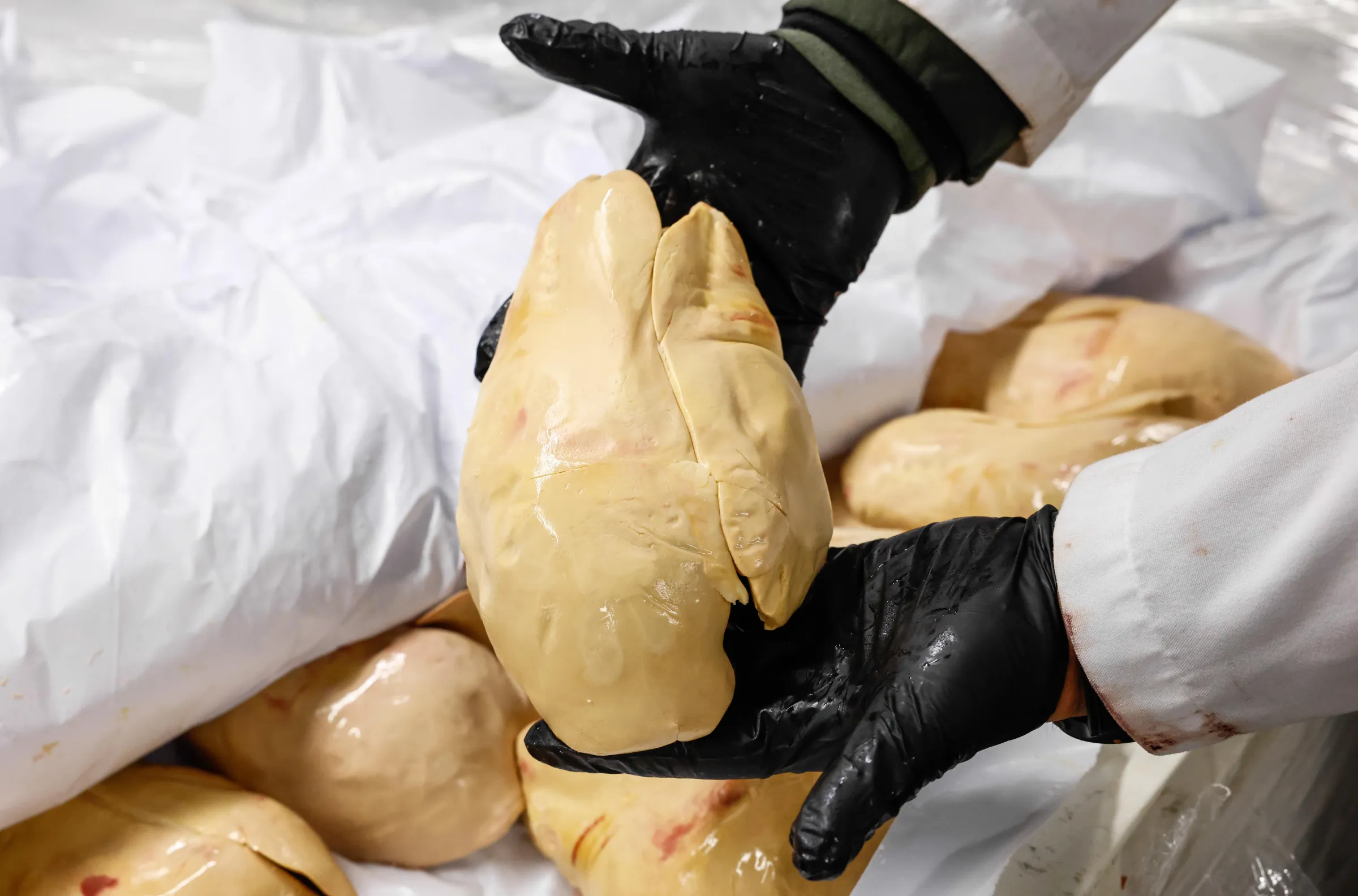 Two US cities could soon ban one of the world’s most controversial foods