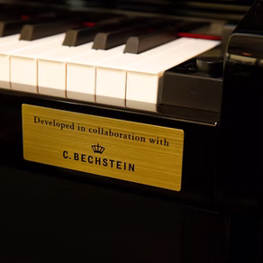Casio Celviano