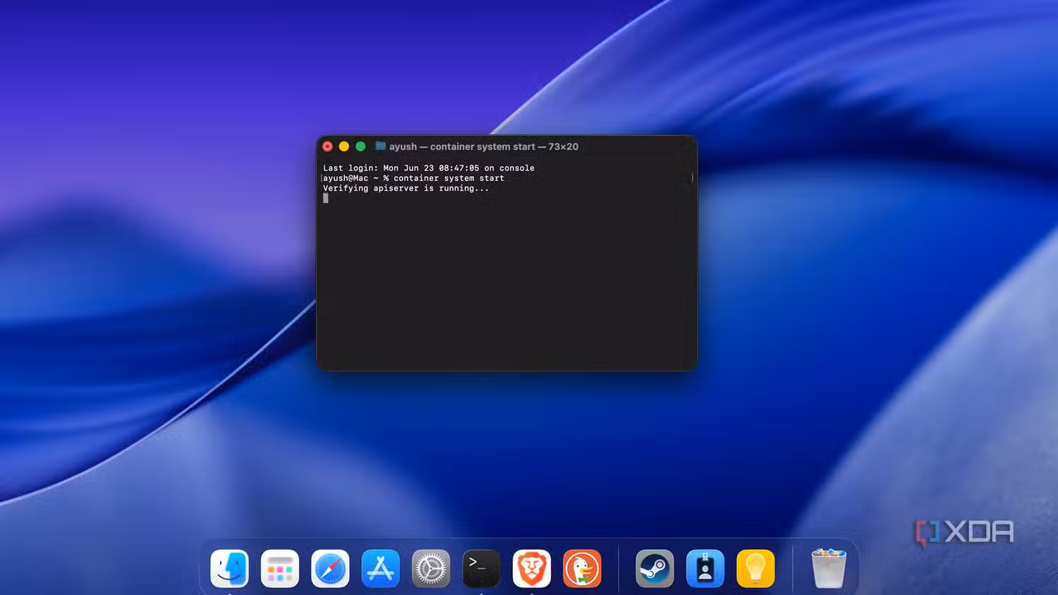 Running the Apple Container start script