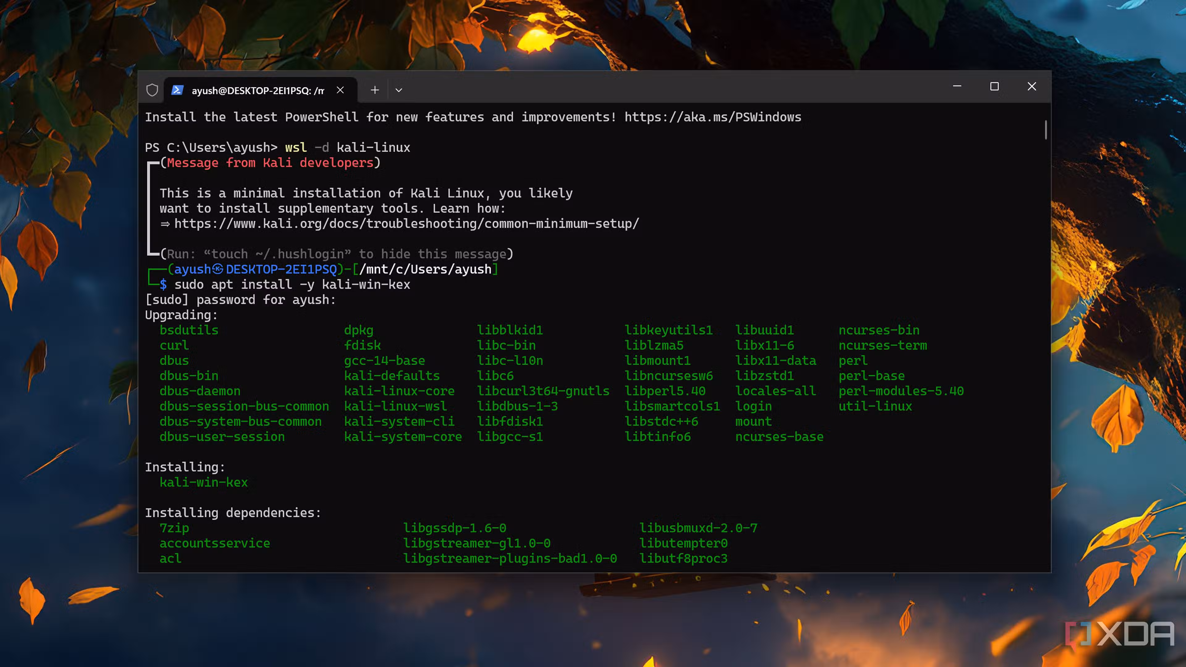Running Kali Linux in WSL