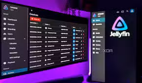 Jellyfin server and devices page.