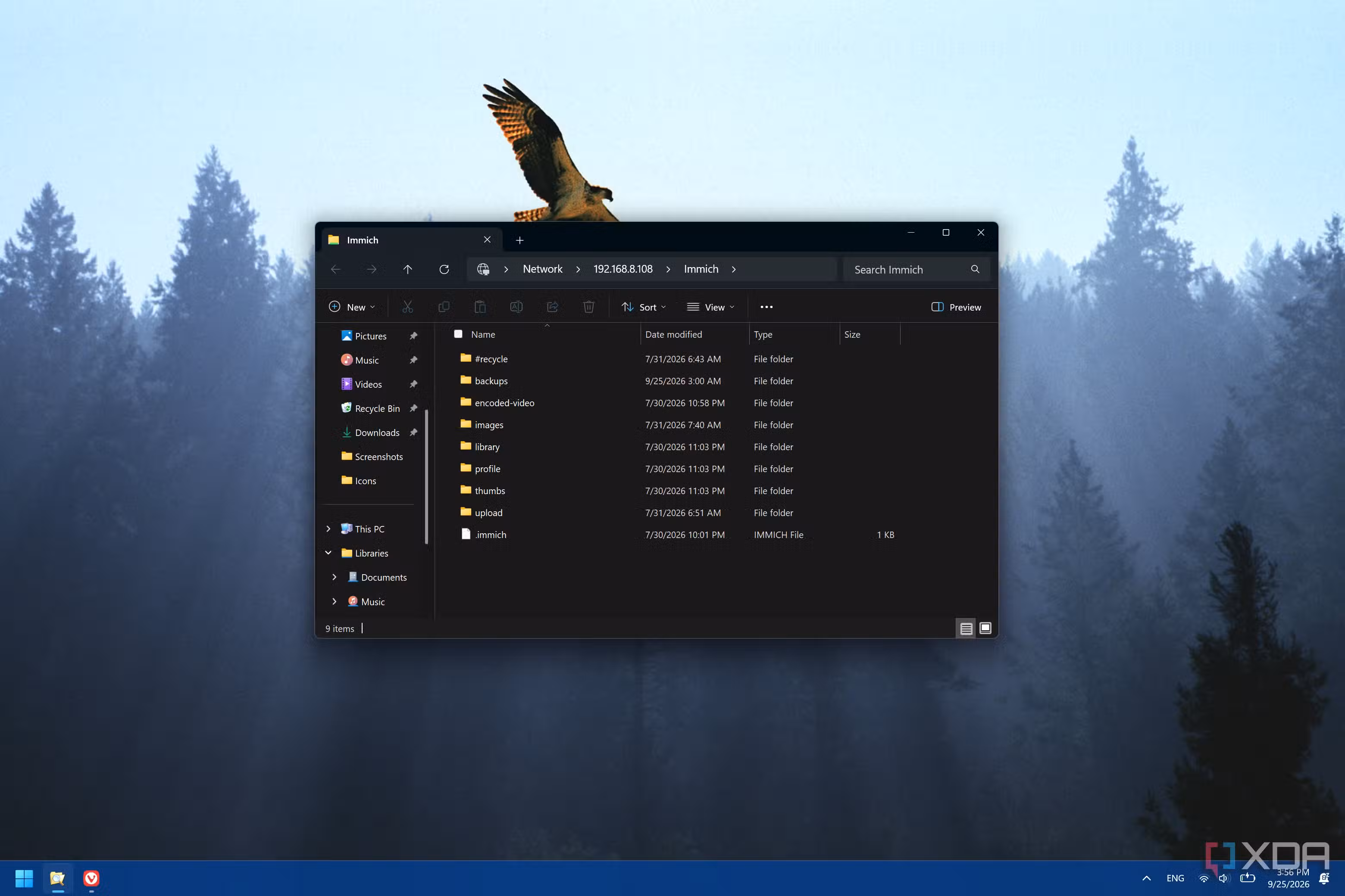 Screenshot of File Explorer on Windows 11 showing folders in an SMB share