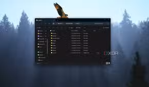 Screenshot of File Explorer on Windows 11 showing folders in an SMB share