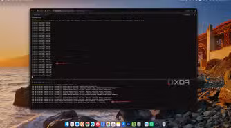 Terminal showing Stirling PDF going from healthy to unhealthy and back, with the healer log recording the restart