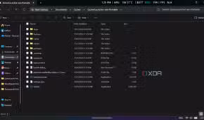Quiver's main file system