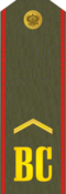 Service uniform yefreytorof the Army and SMF(1994−2010)